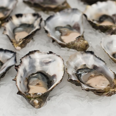 Oysters